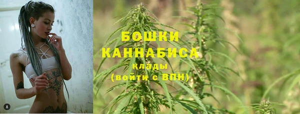 твердый Белокуриха