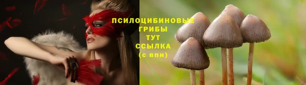 твердый Белокуриха