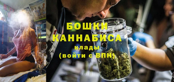 твердый Белокуриха
