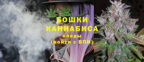 твердый Белокуриха