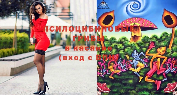 твердый Белокуриха