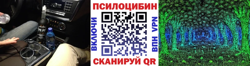Галлюциногенные грибы Psilocybe  blacksprut рабочий сайт  Котельнич 